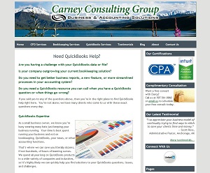 Carney Consulting Group, Accounting Website