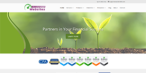 Screenshot of accountant websites partners theme