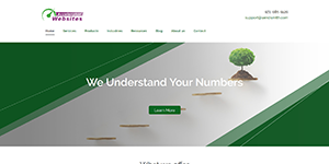 screenshot websites for cpa firms Reliable Theme 