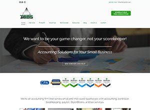 Triangle Small Business Solutions Website Screenshot