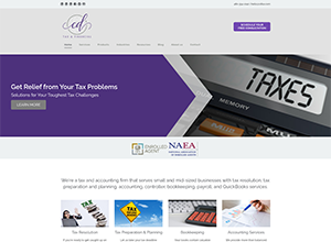 CD Tax & Financial Website Screenshot
