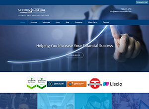AccountingEdge Consulting LLC Website Screenshot