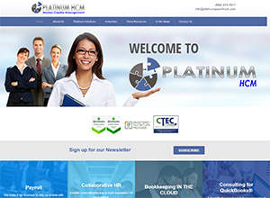 Platinum HCM Website Screenshot