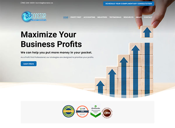 Bonstar Profit Strategist Inc. Website Screenshot