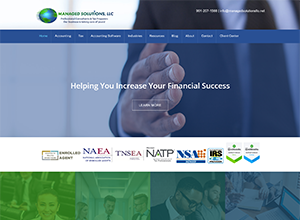 Managed Solutions LLC Website Screenshot